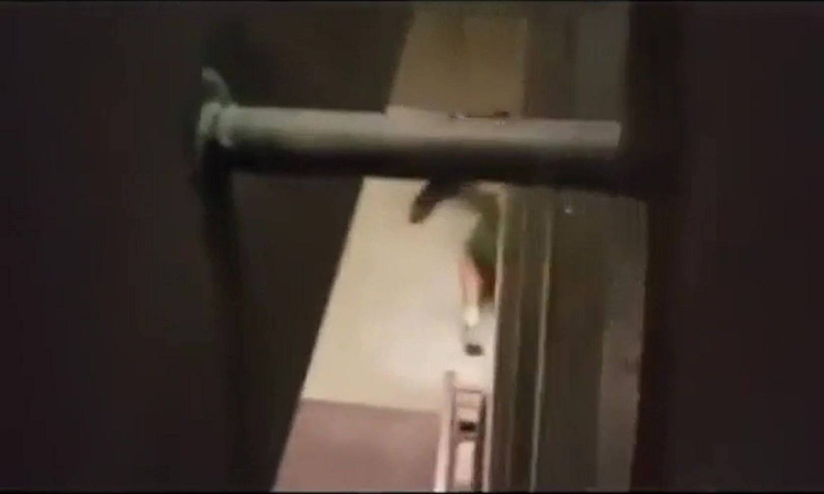 White groupee blowing a bull backstage of an event
